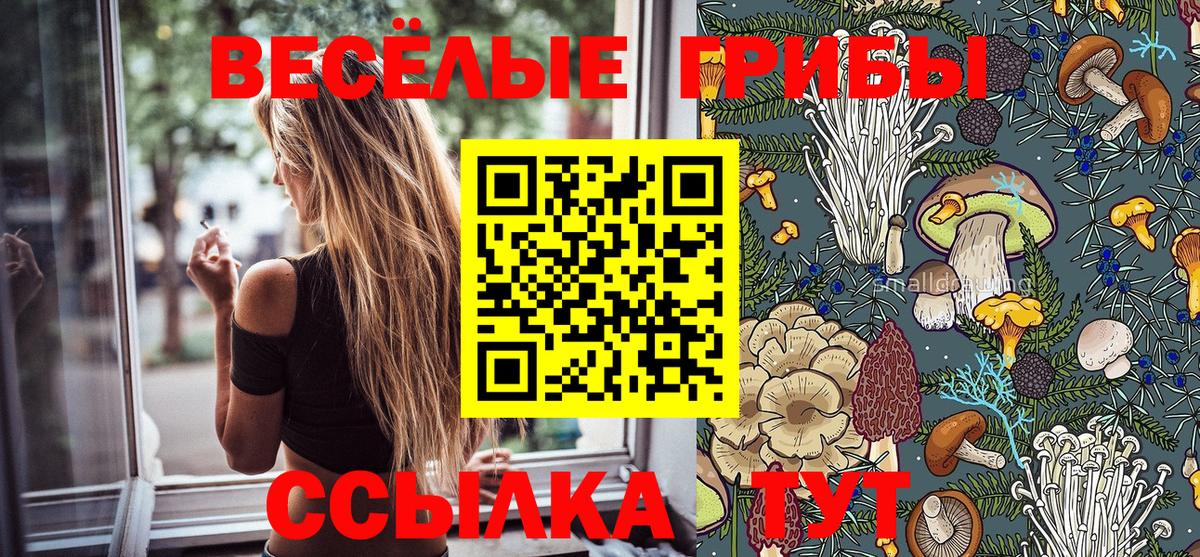 Галлюциногенные грибы Psilocybine cubensis Владимир