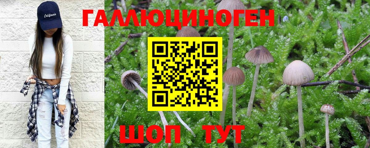 Псилоцибиновые грибы мицелий  где купить наркоту  Владимир  Вход с VPN 