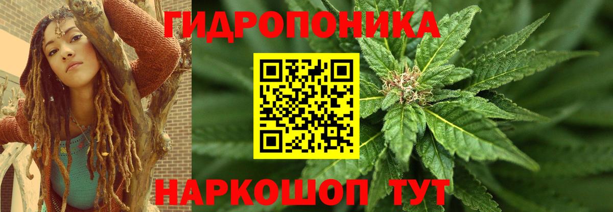 Каннабис план Владимир